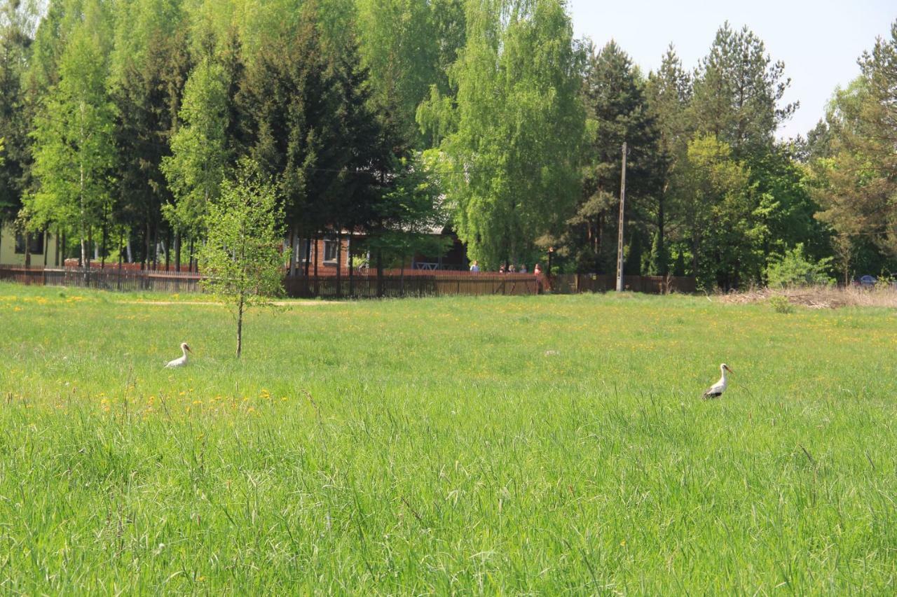 Holiday home Zubrowe Siolo - Dom Na Wylacznosc Bialowieza