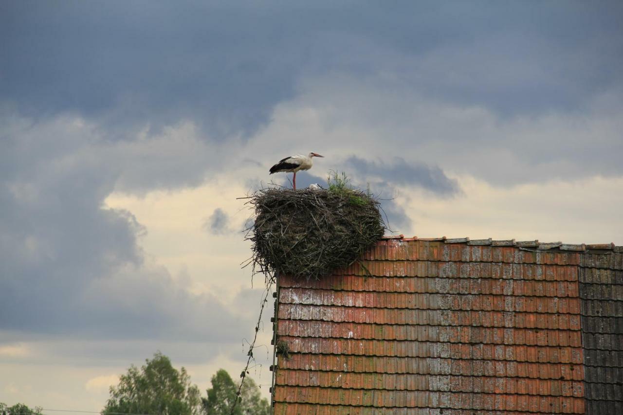 Zubrowe Siolo - Dom Na Wylacznosc Holiday home *