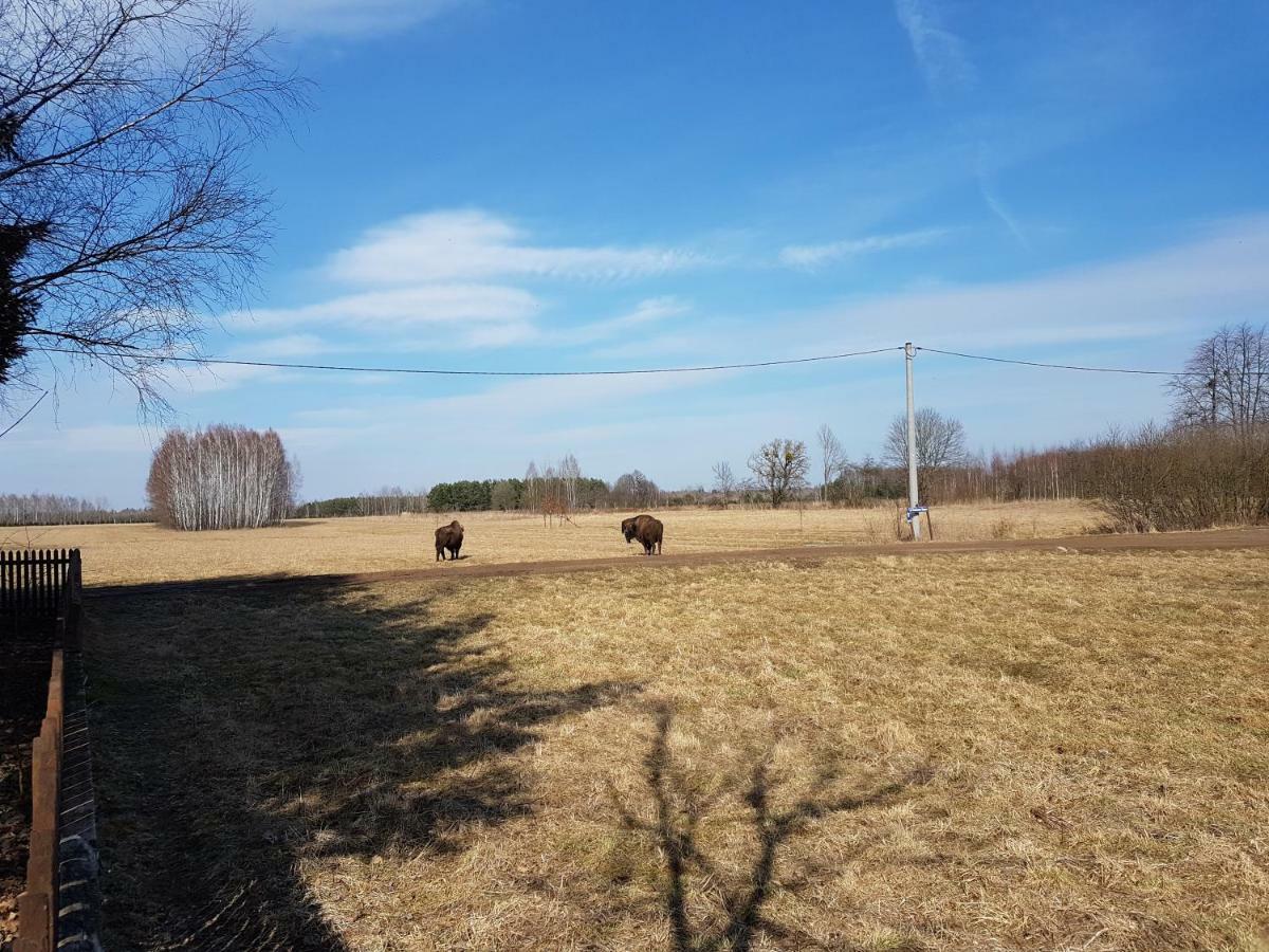 Holiday home Zubrowe Siolo - Dom Na Wylacznosc